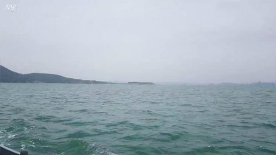 龙马精神丶老狼哥发布了一个斗鱼视频2019-06-01