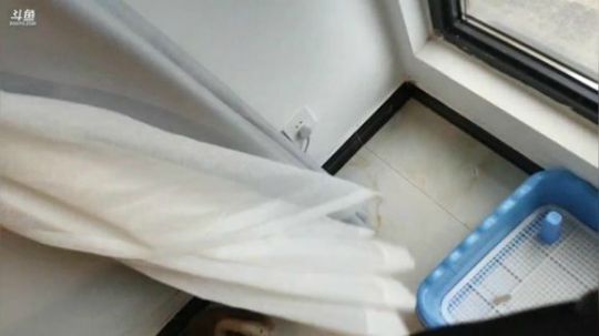 迪奥斯直播丨打完游戏撸狗 2019-06-01 16点场