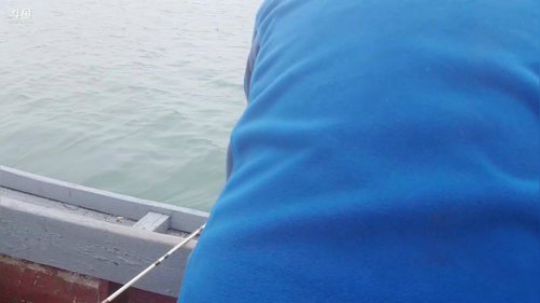 西北老狼哥哥发布了一个斗鱼视频2019-06-01