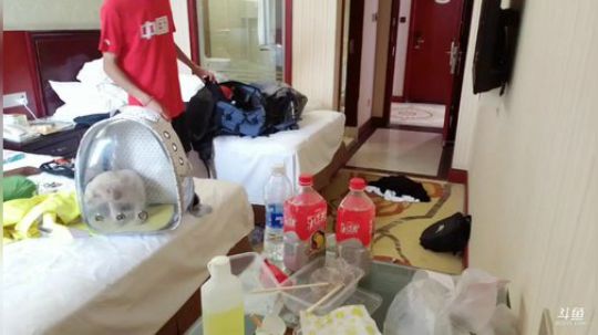 叶子时间上午11：00开播 2019-06-01 10点场