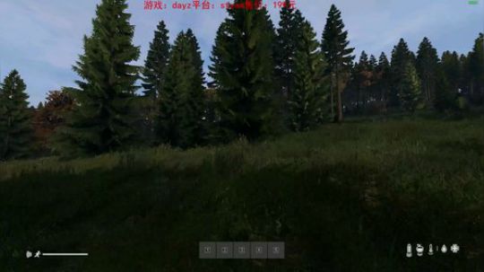 dayz dayz dayz 2019-05-30 23点场