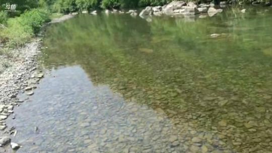 户外生活开始啦。 2019-06-02 14点场