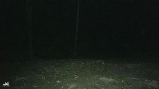 户外生活开始啦。 2019-06-01 21点场