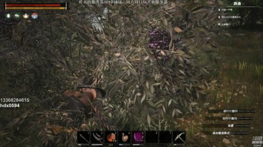 龙马精神丶老狼哥发布了一个斗鱼视频2019-06-02