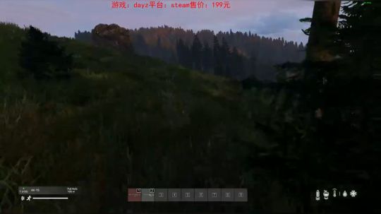 dayz dayz dayz 2019-06-01 18点场