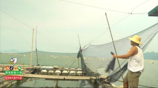 哆啦爱梦梦发布了一个斗鱼视频2019-06-03