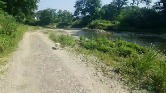 9点台长颠颠48小时作死生存。 2019-06-03 08点场