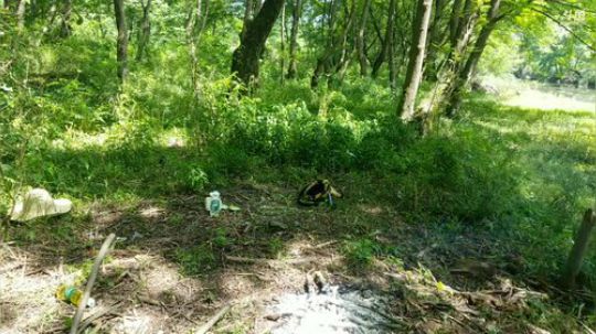 台长颠颠48小时作死生存。 2019-06-03 14点场