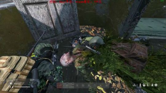 dayz dayz dayz 2019-06-02 17点场
