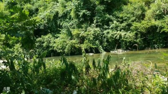 台长颠颠48小时作死生存。 2019-06-03 12点场