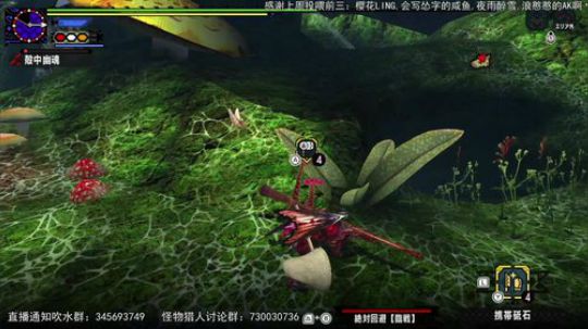 怪物猎人xx 326138 2019-05-25 19点场