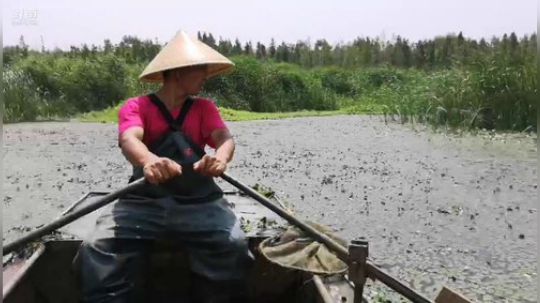 丿Good丶发布了一个斗鱼视频2019-06-04