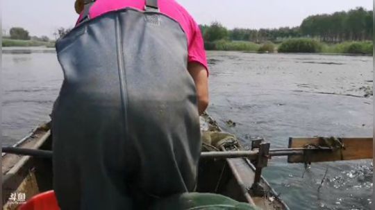 科头溜子发布了一个斗鱼视频2019-06-04