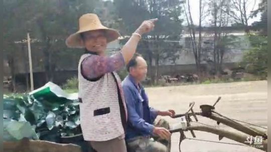 路线昆明玉溪楚雄大理巍山丽江攀枝花 2019-06-04 09点场