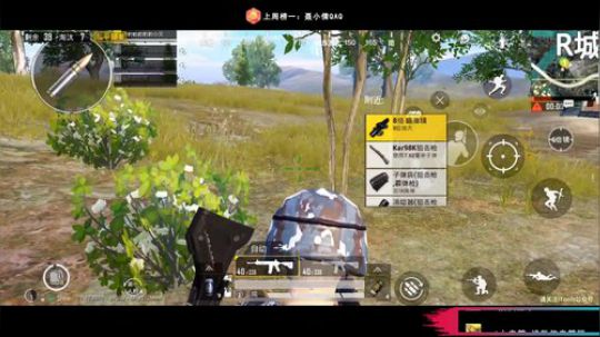 logo认证号带粉 搞怪你欠爷人狠路子野 2019-06-03 21点场
