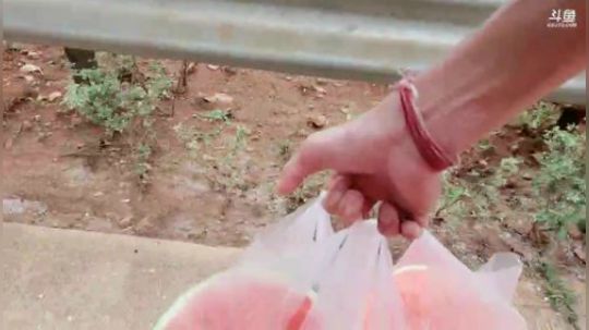 路线昆明玉溪楚雄大理巍山丽江攀枝花 2019-06-04 13点场