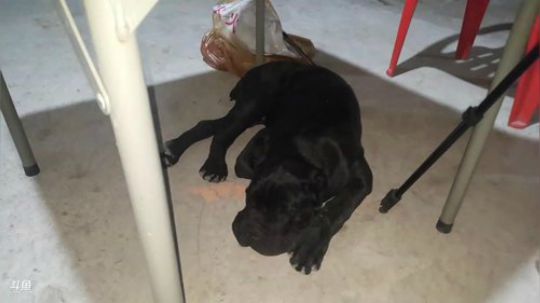 一生守护铁公鸡发布了一个斗鱼视频2019-06-05