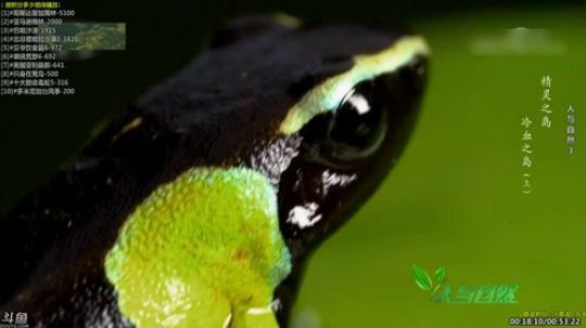 户外遛狗王飞哥发布了一个斗鱼视频2019-06-05