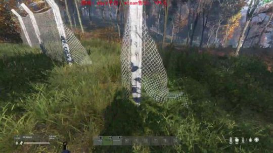 dayz dayz dayz 2019-06-04 18点场
