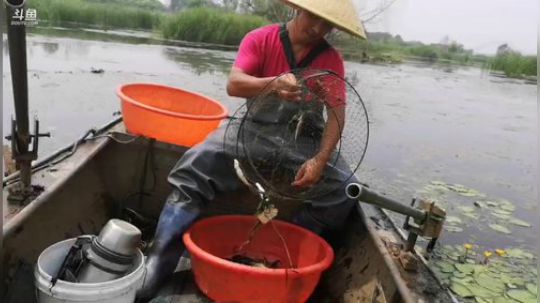 科头溜子发布了一个斗鱼视频2019-06-05