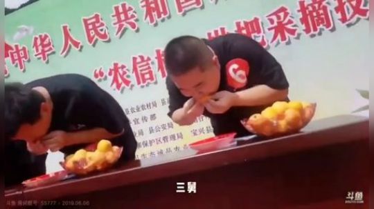 枇杷节