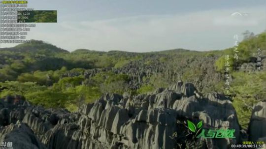 护法惊丶发布了一个斗鱼视频2019-06-06