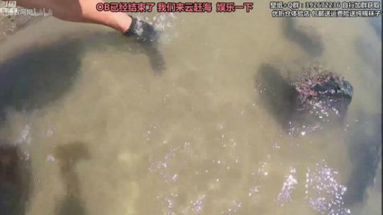 liyunanhj发布了一个斗鱼视频2019-06-06