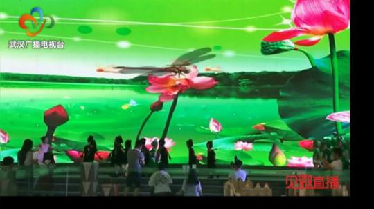武汉交通广播 2019-06-01 14点场