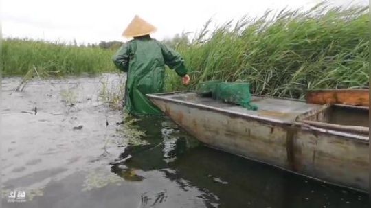 科头溜子发布了一个斗鱼视频2019-06-06
