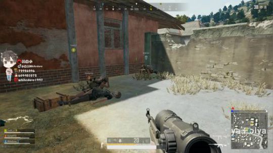 我在斗鱼看小白鸽whitedove直播吃鸡游戏