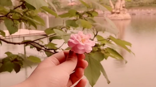 go南希go发布了一个斗鱼视频2019-06-06
