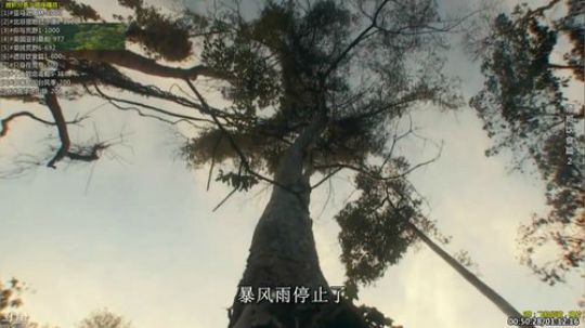 户外遛狗王飞哥发布了一个斗鱼视频2019-06-06