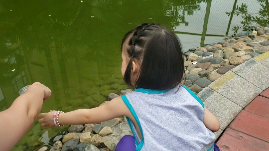 木木乱闯发布了一个斗鱼视频2019-06-07