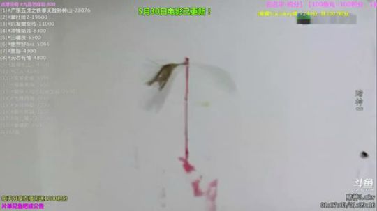 护法惊丶发布了一个斗鱼视频2019-06-07