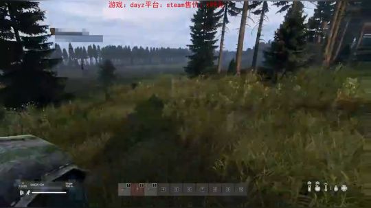 dayz dayz dayz 2019-06-06 20点场