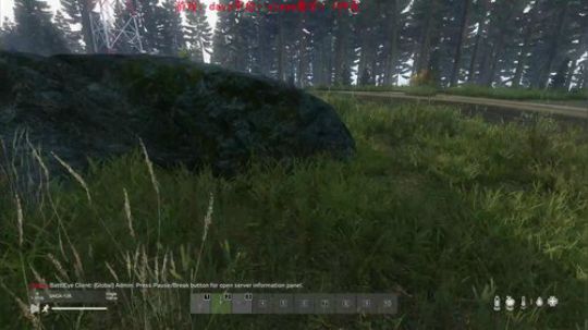 dayz dayz dayz 2019-06-06 18点场