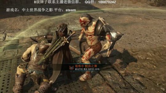 最强的兽人宝可梦，培养五虎上将！ 2019-06-05 15点场