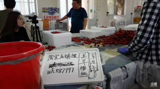 西北老狼哥哥发布了一个斗鱼视频2019-06-07