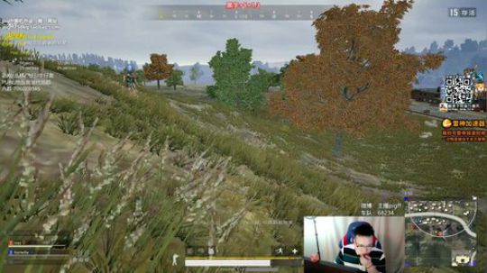 我在斗鱼看pigff直播绝地求生