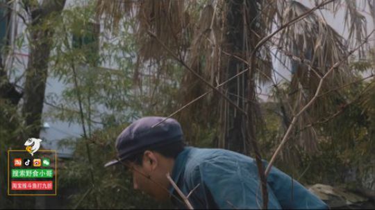 哆啦爱梦梦发布了一个斗鱼视频2019-06-08