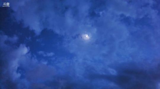 我在攀枝花，你在哪？菜野蜂蜜 2019-06-09 20点场