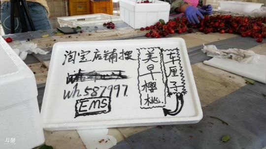 丿Good丶发布了一个斗鱼视频2019-06-09