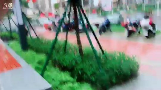 豹女：区域断网加大雨，这是世界末日吗 2019-06-10 15点场
