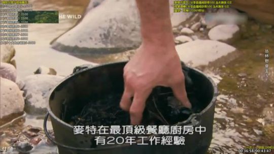 户外遛狗王飞哥发布了一个斗鱼视频2019-06-10