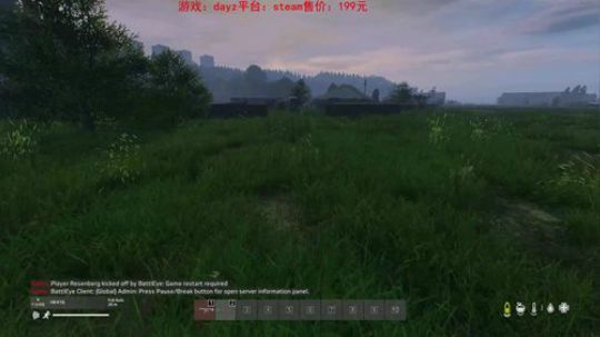 dayz dayz dayz 2019-06-09 15点场