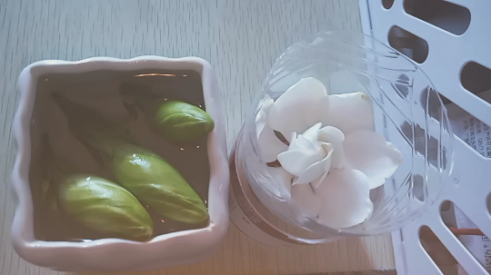 1喵子发布了一个斗鱼视频2019-06-11