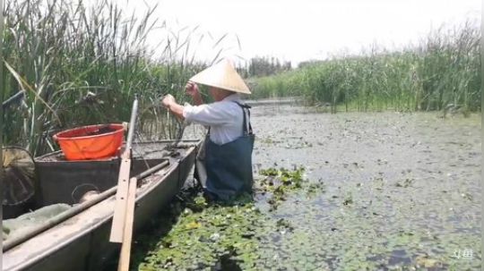 科头溜子发布了一个斗鱼视频2019-06-11