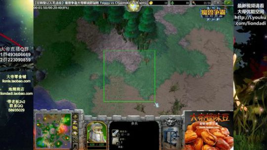 我在斗鱼看大帝LioN直播魔兽争霸