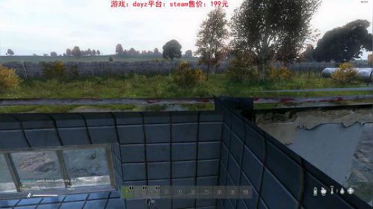 dayz dayz dayz 2019-06-10 19点场