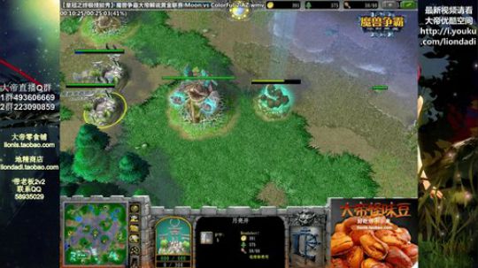 我在斗鱼看大帝LioN直播魔兽争霸